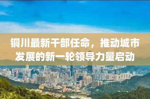 龙行天下 第4页