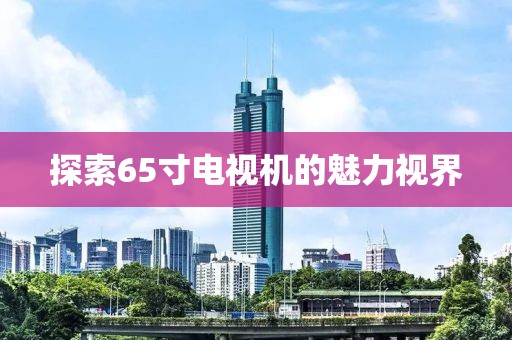 探索65寸电视机的魅力视界