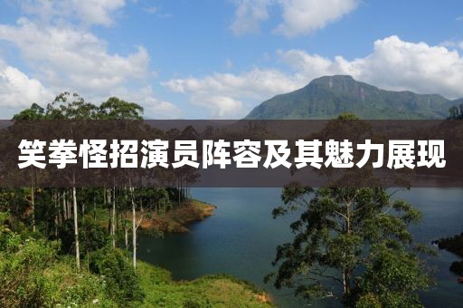 笑拳怪招演员阵容及其魅力展现