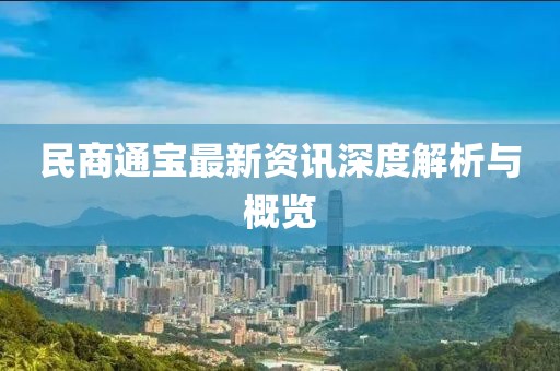 民商通宝最新资讯深度解析与概览