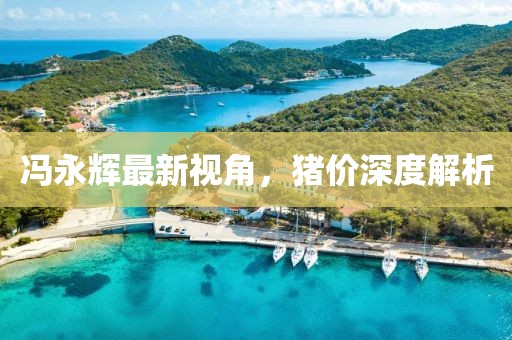 冯永辉最新视角，猪价深度解析