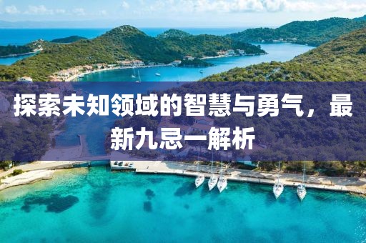 探索未知领域的智慧与勇气，最新九忌一解析