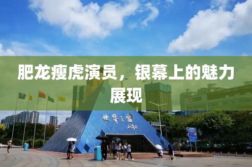 肥龙瘦虎演员，银幕上的魅力展现
