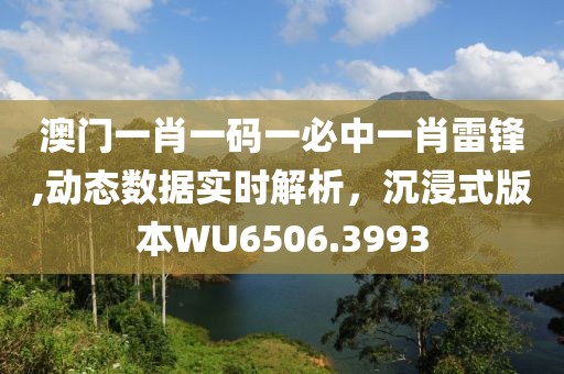 澳门一肖一码一必中一肖雷锋,动态数据实时解析，沉浸式版本WU6506.3993