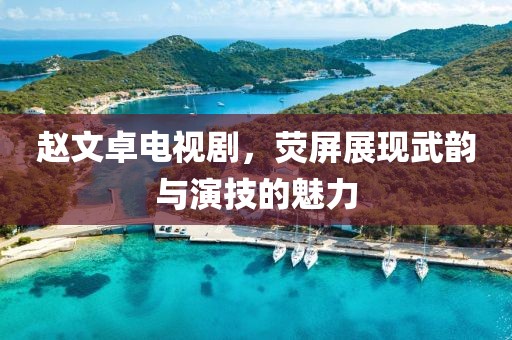 赵文卓电视剧，荧屏展现武韵与演技的魅力