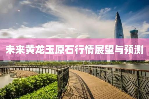 未来黄龙玉原石行情展望与预测