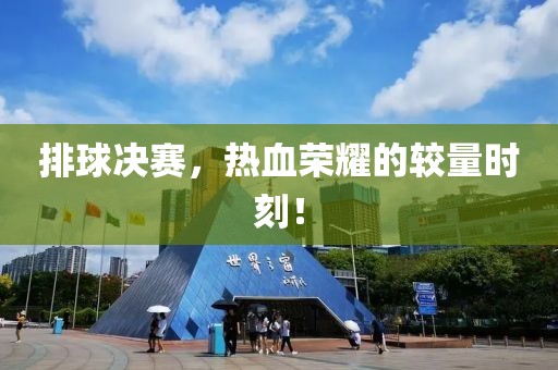 排球决赛，热血荣耀的较量时刻！