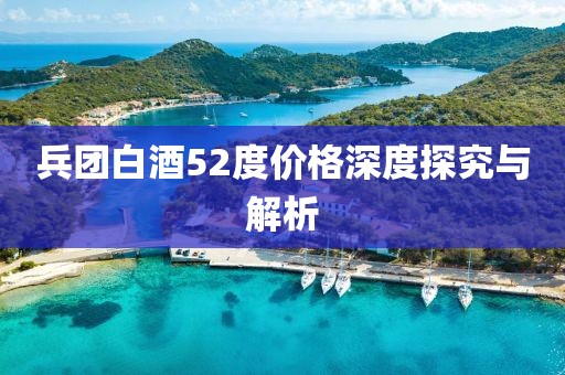 兵团白酒52度价格深度探究与解析