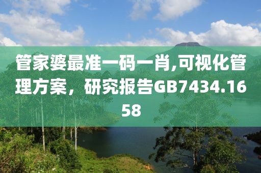 管家婆最准一码一肖,可视化管理方案，研究报告GB7434.1658