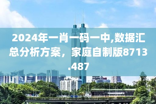 2024年一肖一码一中,数据汇总分析方案，家庭自制版8713.487