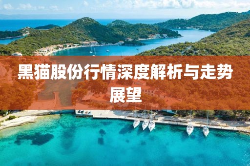 黑猫股份行情深度解析与走势展望