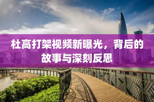杜高打架视频新曝光，背后的故事与深刻反思