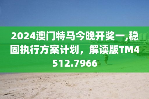 2024澳门特马今晚开奖一,稳固执行方案计划，解读版TM4512.7966