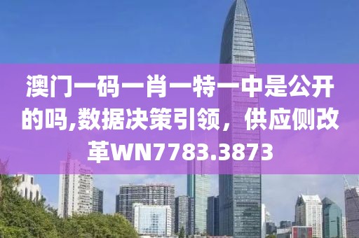 澳门一码一肖一特一中是公开的吗,数据决策引领，供应侧改革WN7783.3873