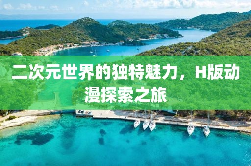 二次元世界的独特魅力，H版动漫探索之旅