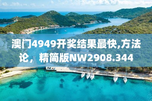 澳门4949开奖结果最快,方法论，精简版NW2908.344