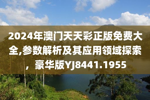 2024年澳门天天彩正版免费大全,参数解析及其应用领域探索，豪华版YJ8441.1955