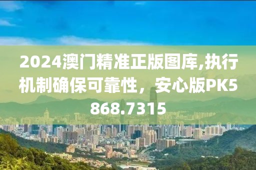 2024澳门精准正版图库,执行机制确保可靠性，安心版PK5868.7315