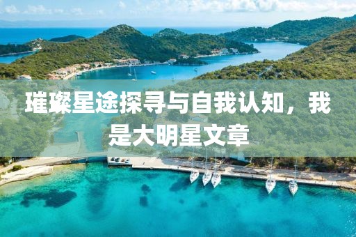 璀璨星途探寻与自我认知，我是大明星文章