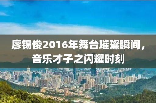 廖锡俊2016年舞台璀璨瞬间，音乐才子之闪耀时刻