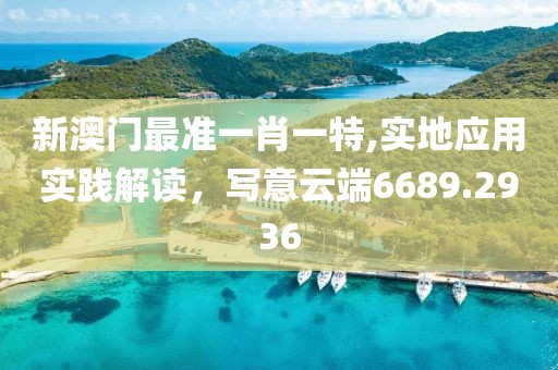 新澳门最准一肖一特,实地应用实践解读，写意云端6689.2936
