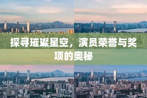 探寻璀璨星空，演员荣誉与奖项的奥秘