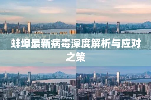 蚌埠最新病毒深度解析与应对之策