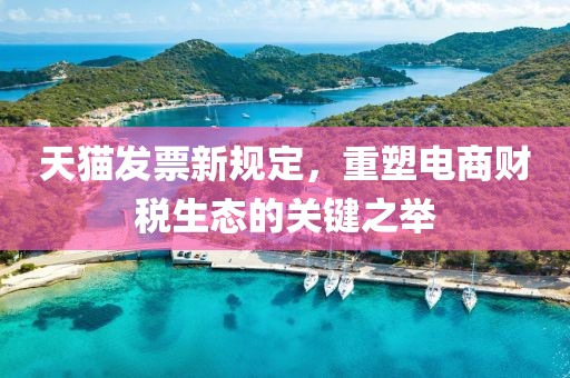 天猫发票新规定，重塑电商财税生态的关键之举