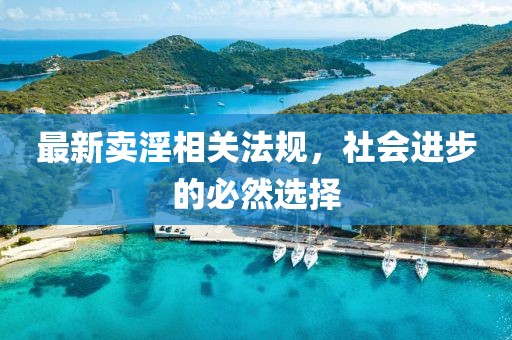 最新卖淫相关法规，社会进步的必然选择