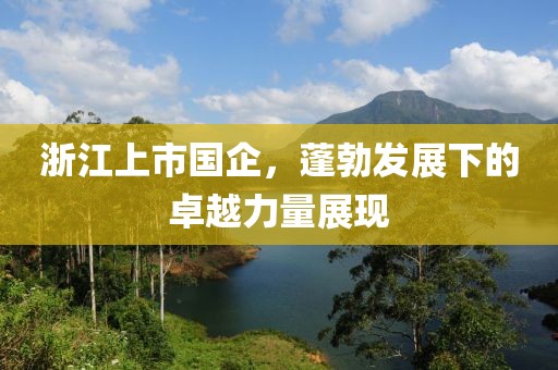 浙江上市国企，蓬勃发展下的卓越力量展现