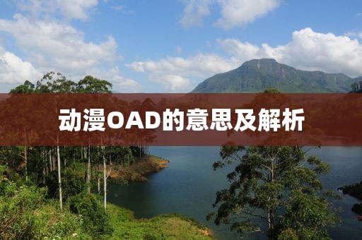 动漫OAD的意思及解析