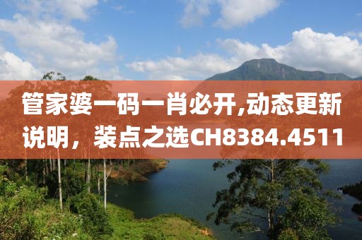 管家婆一码一肖必开,动态更新说明，装点之选CH8384.4511