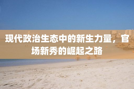 现代政治生态中的新生力量，官场新秀的崛起之路