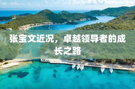 张宝文近况，卓越领导者的成长之路