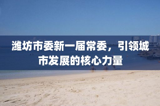 潍坊市委新一届常委，引领城市发展的核心力量