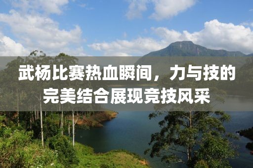 武杨比赛热血瞬间，力与技的完美结合展现竞技风采
