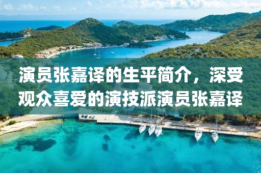 演员张嘉译的生平简介，深受观众喜爱的演技派演员张嘉译