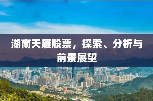 湖南天雁股票，探索、分析与前景展望