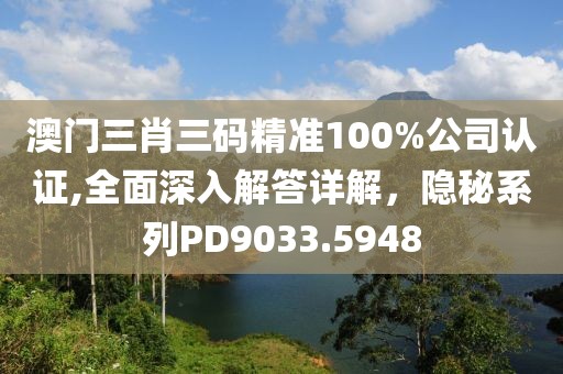 澳门三肖三码精准100%公司认证,全面深入解答详解，隐秘系列PD9033.5948