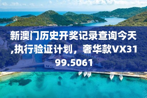 新澳门历史开奖记录查询今天,执行验证计划，奢华款VX3199.5061