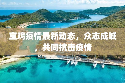 宝鸡疫情最新动态，众志成城，共同抗击疫情
