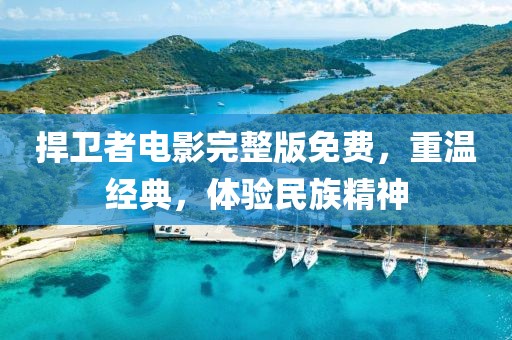 捍卫者电影完整版免费，重温经典，体验民族精神
