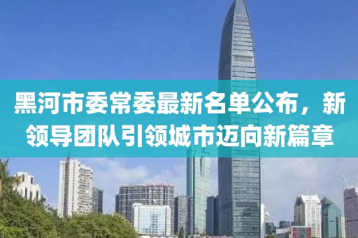 黑河市委常委最新名单公布，新领导团队引领城市迈向新篇章