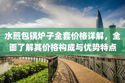 水煎包锅炉子全套价格详解，全面了解其价格构成与优势特点