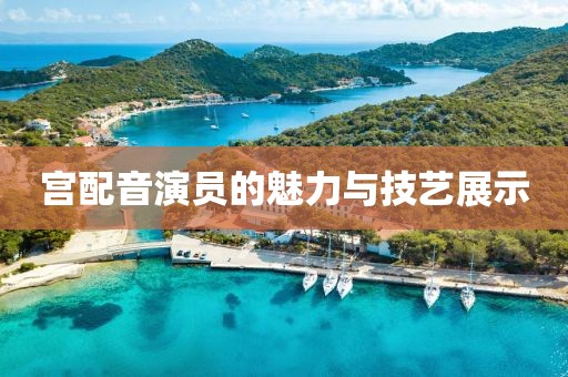宫配音演员的魅力与技艺展示