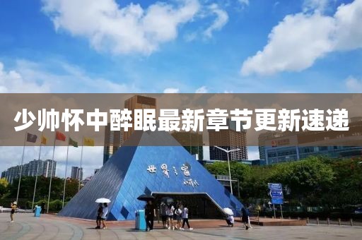 少帅怀中醉眠最新章节更新速递