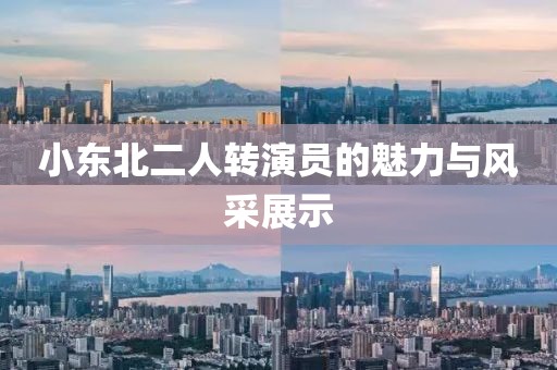 小东北二人转演员的魅力与风采展示