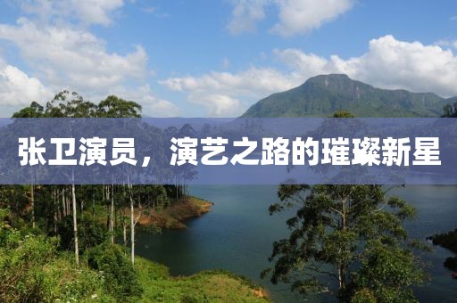 张卫演员，演艺之路的璀璨新星