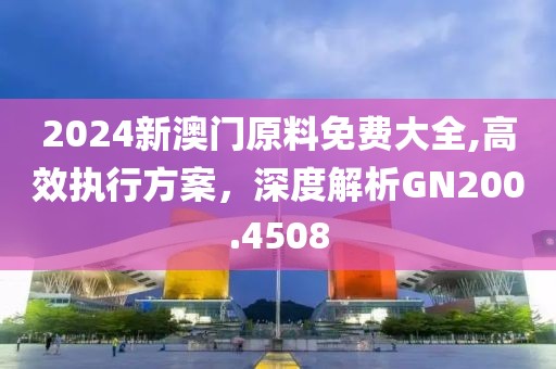 2024新澳门原料免费大全,高效执行方案，深度解析GN200.4508
