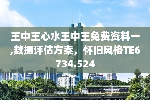 王中王心水王中王免费资料一,数据评估方案，怀旧风格TE6734.524